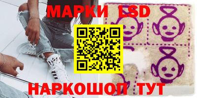 PSILOCYBIN Камышлов