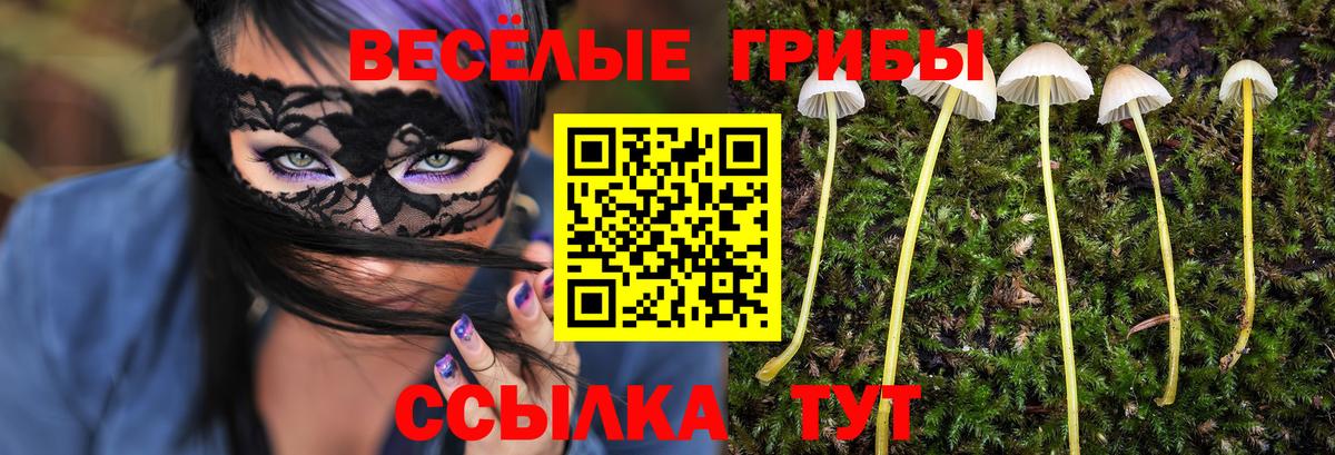 Галлюциногенные грибы Magic Shrooms Красногорск