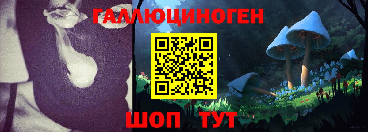 Красногорск  Галлюциногенные грибы прущие грибы  Галлюциногенные грибы Cubensis  Вход с VPN 